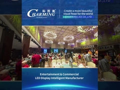 Commercial display type 3