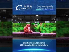 Rental Product -- K Series Product Test 2