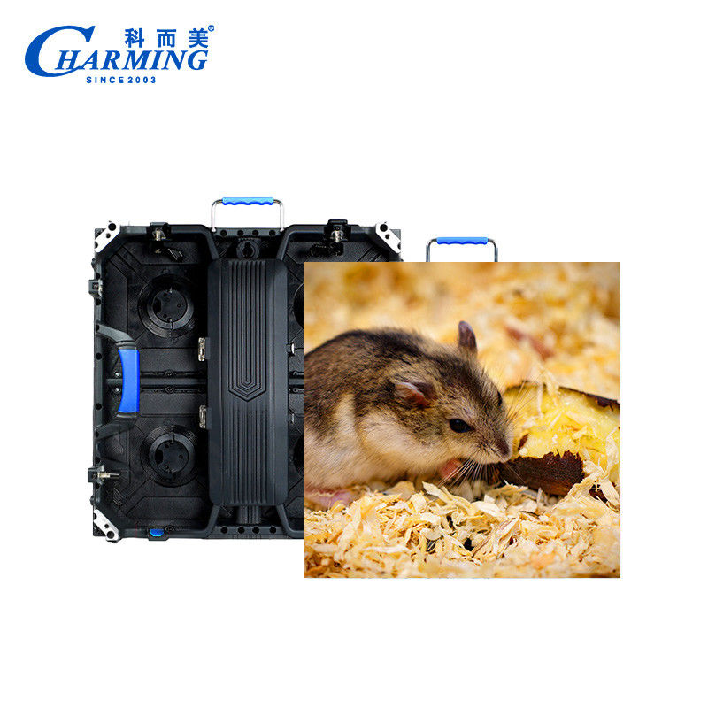 High Performance LED Screen Vedio Wall Business Shopping Adveresting Screen 500*500MM Waterproof IP65