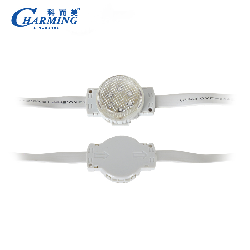 IP66 Waterproof High Brightness LED Pixel Light 40x27.3mm Point Light 40D for Christmas & Building Decoration