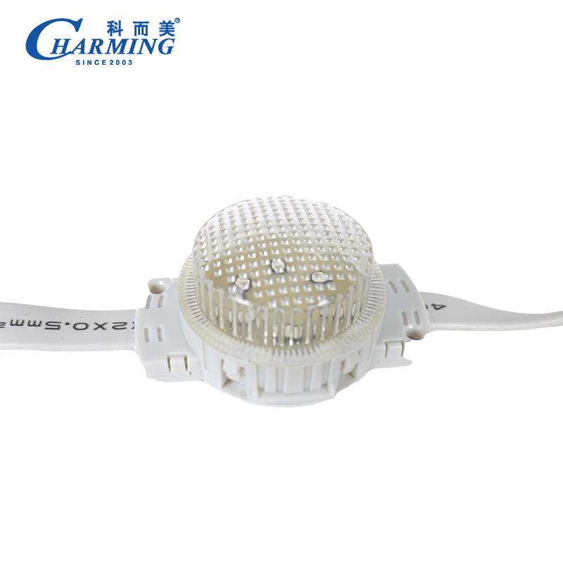 Waterproof Pixel Light for Tourist Attractions 40D Model IP66 PC Decoration Lighting