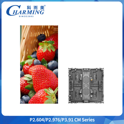 P2.6 P2.9 Ultra-light Outdoor LED Rental Cabinet 500x500mm 500x1000mm